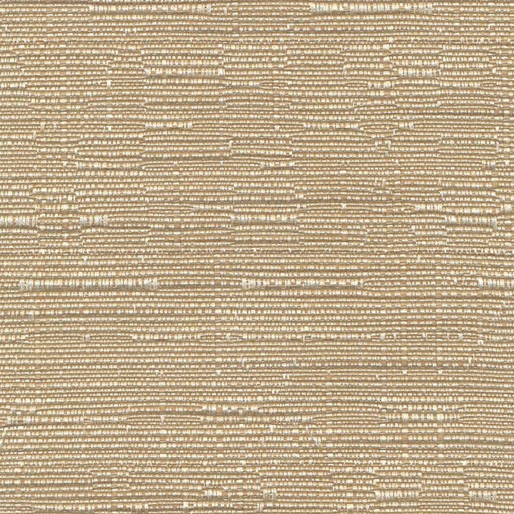 Nuance Texture Latte by Kasmir Fabric 1393 TAIWAN 15,000 Wyzenbeek Double Rubs H: N/A, V:N/A 54 - 55 - Fabric Carolina - Kasmir