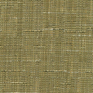 Nuance Texture Wasabi by Kasmir Fabric