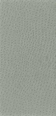 Kravet Basics Nuostrich-11 by Kravet Basics Fabric