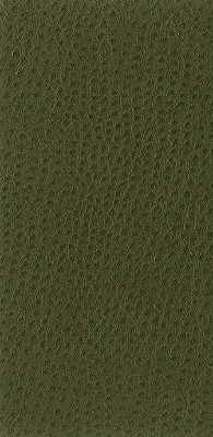 Kravet Basics Nuostrich-30 by Kravet Basics Fabric