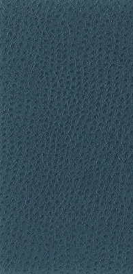 Kravet Basics Nuostrich-5 by Kravet Basics Fabric