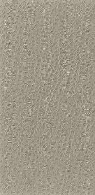 Nuostrich Shiitake by Kravet Basics Fabric