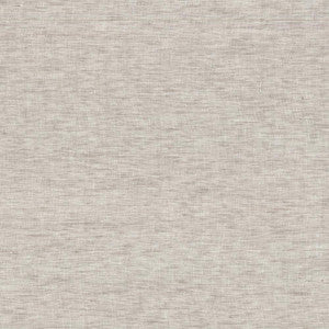 Obrian Linen by Kasmir Fabric
