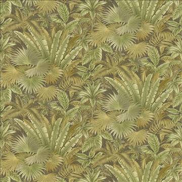 Ocean Club Fossil by Kasmir Fabric 5062 100% Cotton USA 15,000 Wyzenbeek Double Rubs H: 54 inches, V: 27 inches 54 - Fabric Carolina - Kasmir
