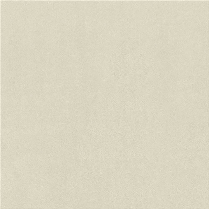 Odin Aluminum by Kasmir Fabric 5127 100% Polyurethane
 CHINA </p><p>Repeat: Horizontal: N/A and Vertical: N/A 53 - Fabric Carolina -