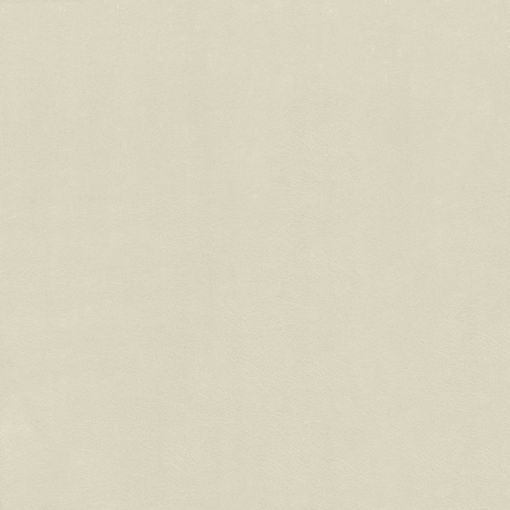 Odin Aluminum by Kasmir Fabric 5127 100% Polyurethane
 CHINA </p><p>Repeat: Horizontal: N/A and Vertical: N/A 53 - Fabric Carolina -