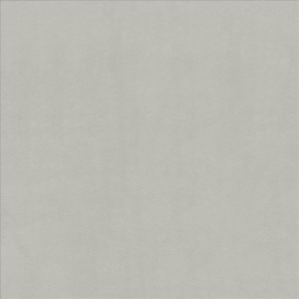Odin Aluminum by Kasmir Fabric 5127 100% Polyurethane CHINA 100,000 Wyzenbeek Double Rubs Horizontal: 0 Inches and Vertical: 0 Inches 54 - Fabric Carolina -