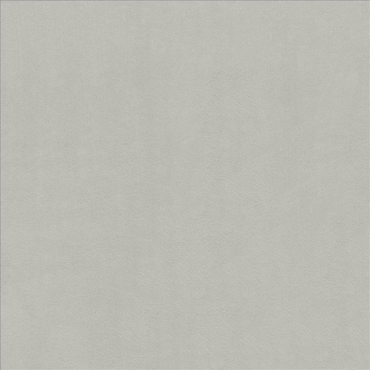 Odin Aluminum by Kasmir Fabric 5127 100% Polyurethane CHINA 100,000 Wyzenbeek Double Rubs Horizontal: 0 Inches and Vertical: 0 Inches 54 - Fabric Carolina -