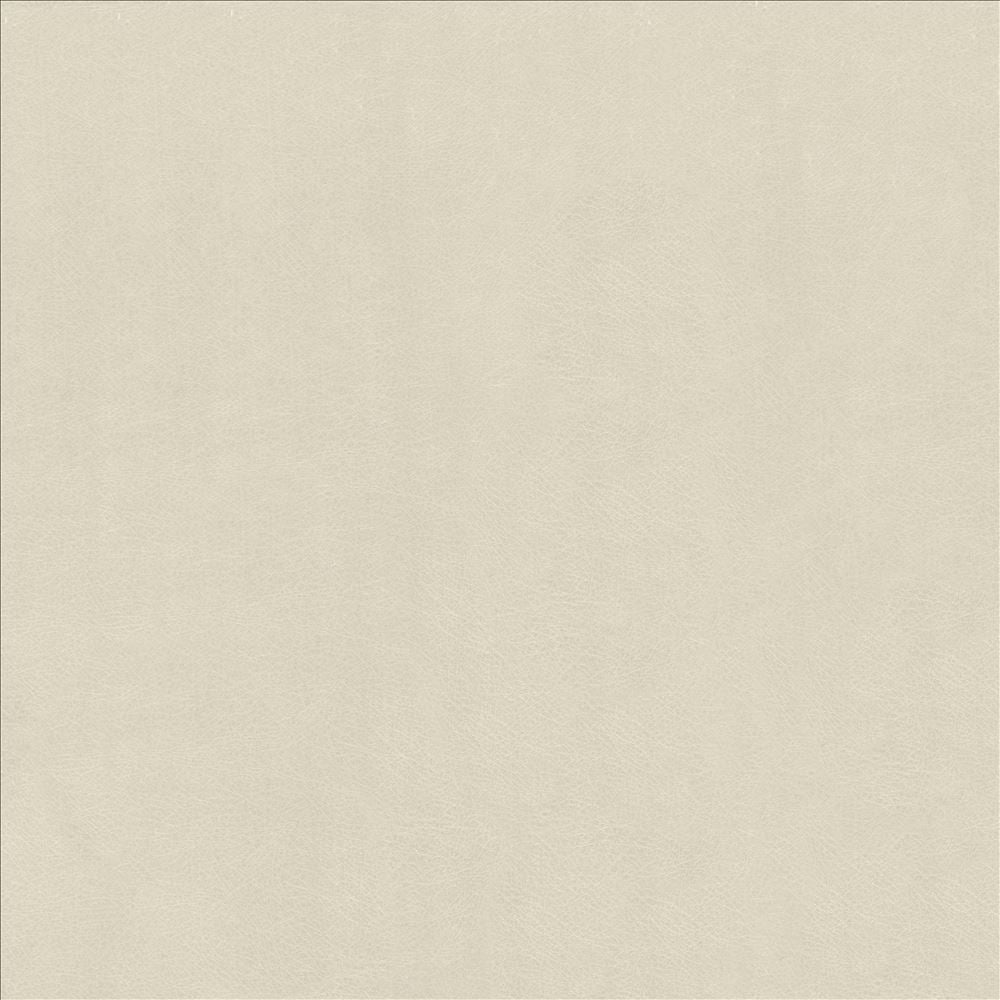 Odin Aluminum by Kasmir Fabric 5127 100% Polyurethane
 CHINA 100,000 Wyzenbeek Double Rubs </p><p>Repeat: Horizontal: N/A and Vertical: N/A 53 - Fabric Carolina -