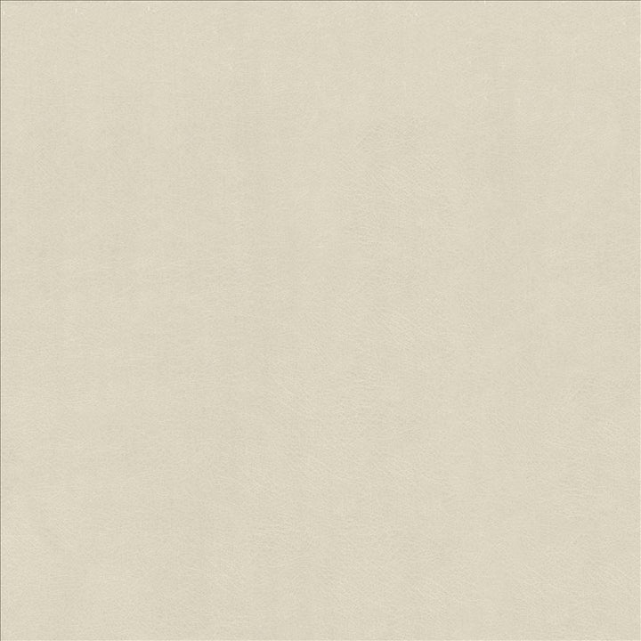 Odin Aluminum by Kasmir Fabric 5127 100% Polyurethane
 CHINA 100,000 Wyzenbeek Double Rubs </p><p>Repeat: Horizontal: N/A and Vertical: N/A 53 - Fabric Carolina -
