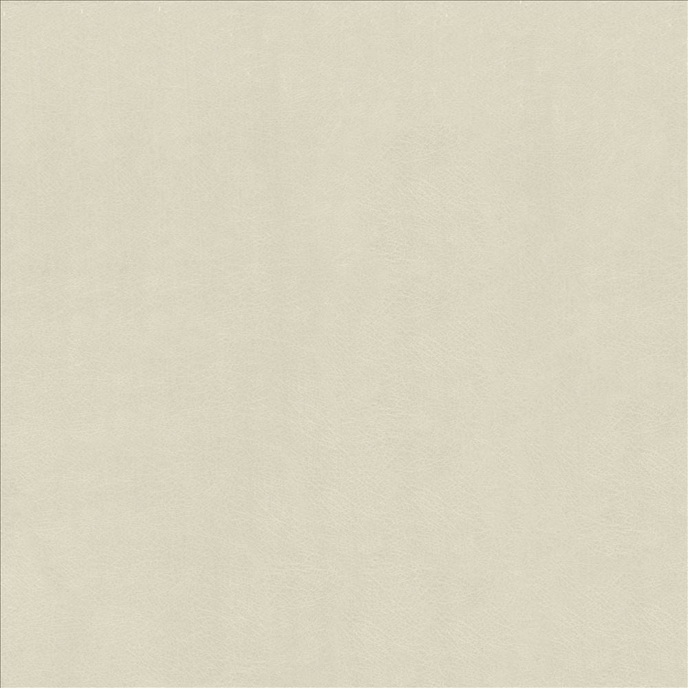 Odin Aluminum by Kasmir Fabric 5127 100% Polyurethane
 CHINA </p><p>Repeat: Horizontal: N/A and Vertical: N/A 53 - Fabric Carolina -