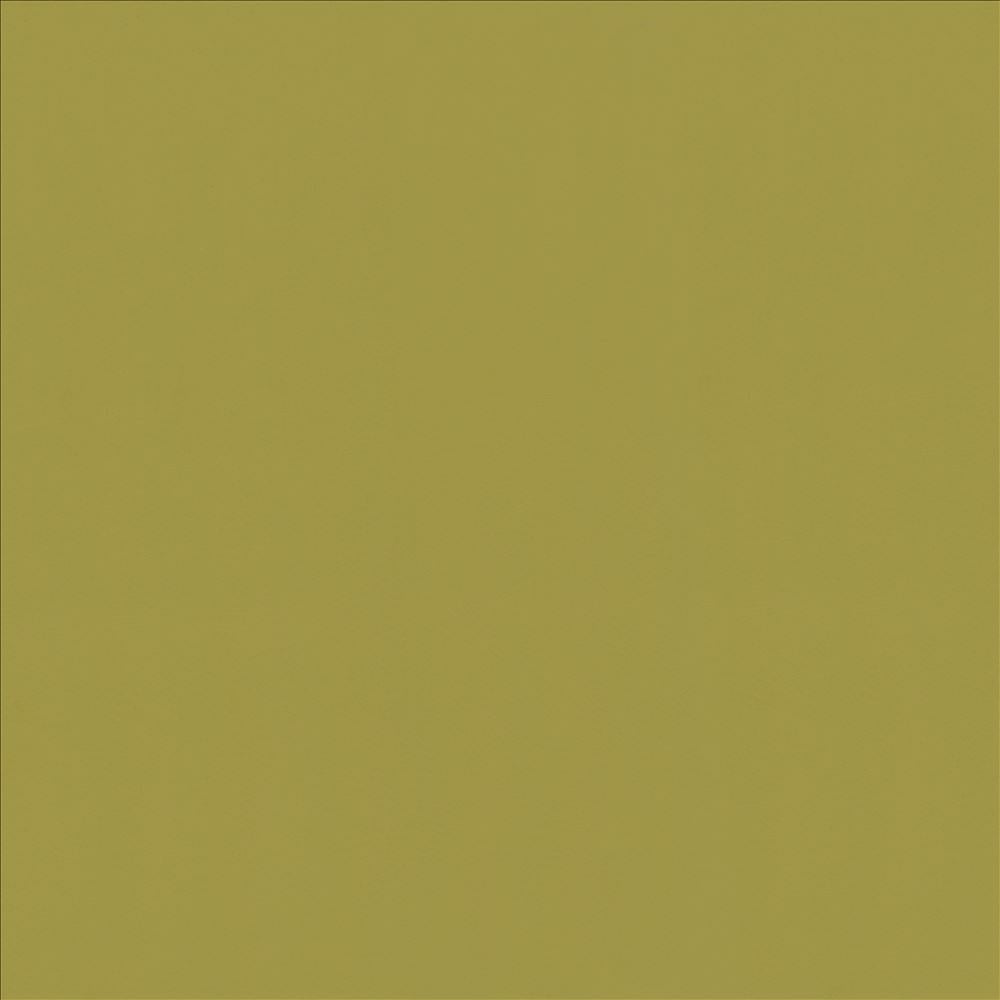Odin Apple by Kasmir Fabric 5127 100% Polyurethane
 CHINA </p><p>Repeat: Horizontal: N/A and Vertical: N/A 53 - Fabric Carolina -