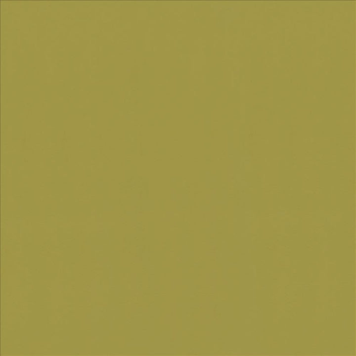 Odin Apple by Kasmir Fabric 5127 100% Polyurethane
 CHINA </p><p>Repeat: Horizontal: N/A and Vertical: N/A 53 - Fabric Carolina -