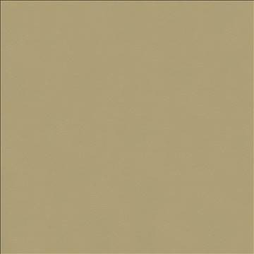Odin Ash by Kasmir Fabric 5127 100% Polyurethane CHINA 100,000 Wyzenbeek Double Rubs H: N/A, V: N/A 54 - Fabric Carolina - Kasmir