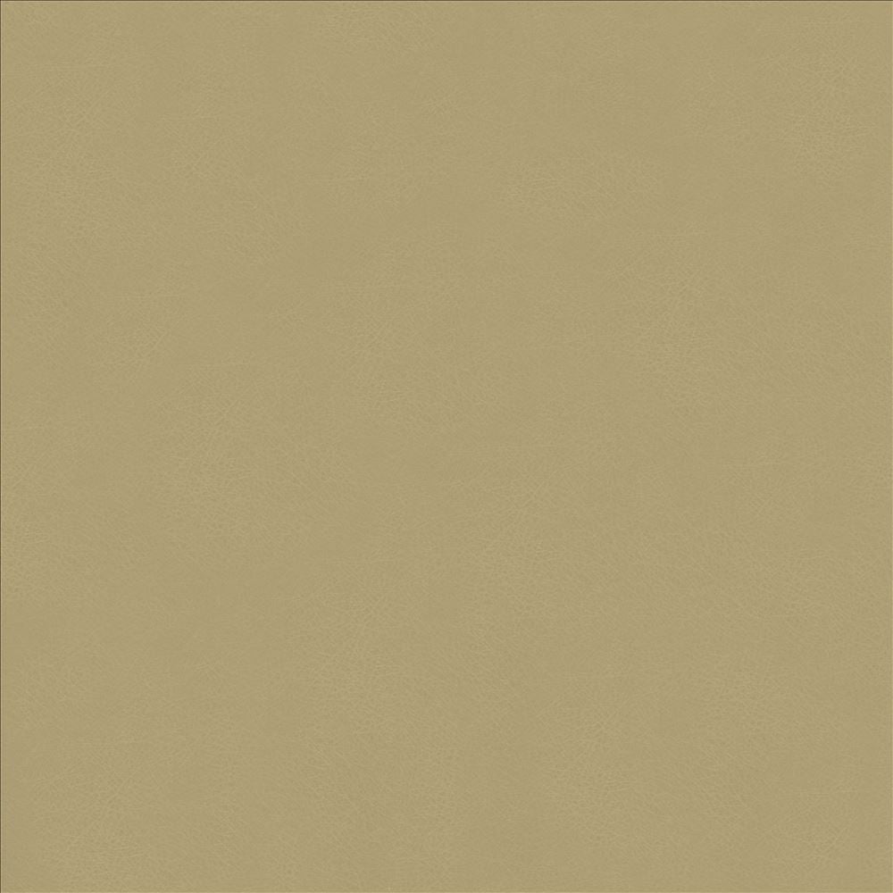 Odin Ash by Kasmir Fabric 5127 100% Polyurethane
 CHINA </p><p>Repeat: Horizontal: N/A and Vertical: N/A 53 - Fabric Carolina -
