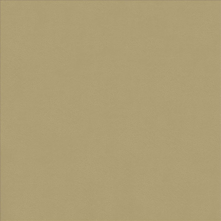 Odin Ash by Kasmir Fabric 5127 100% Polyurethane
 CHINA </p><p>Repeat: Horizontal: N/A and Vertical: N/A 53 - Fabric Carolina -