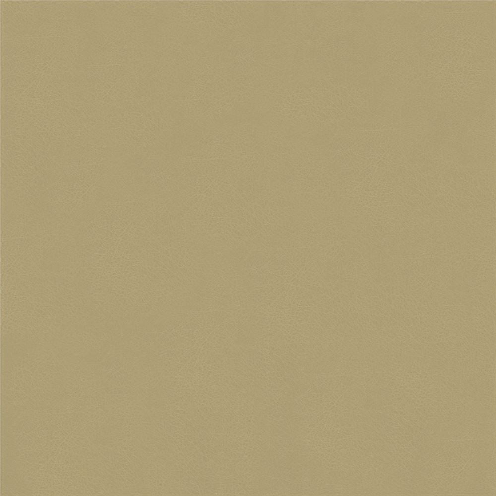 Odin Ash by Kasmir Fabric 5127 100% Polyurethane
 CHINA 100,000 Wyzenbeek Double Rubs </p><p>Repeat: Horizontal: N/A and Vertical: N/A 53 - Fabric Carolina -