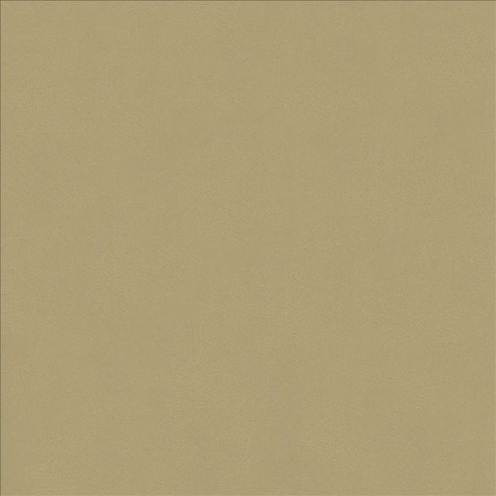 Odin Ash by Kasmir Fabric 5127 100% Polyurethane
 CHINA 100,000 Wyzenbeek Double Rubs </p><p>Repeat: Horizontal: N/A and Vertical: N/A 53 - Fabric Carolina -