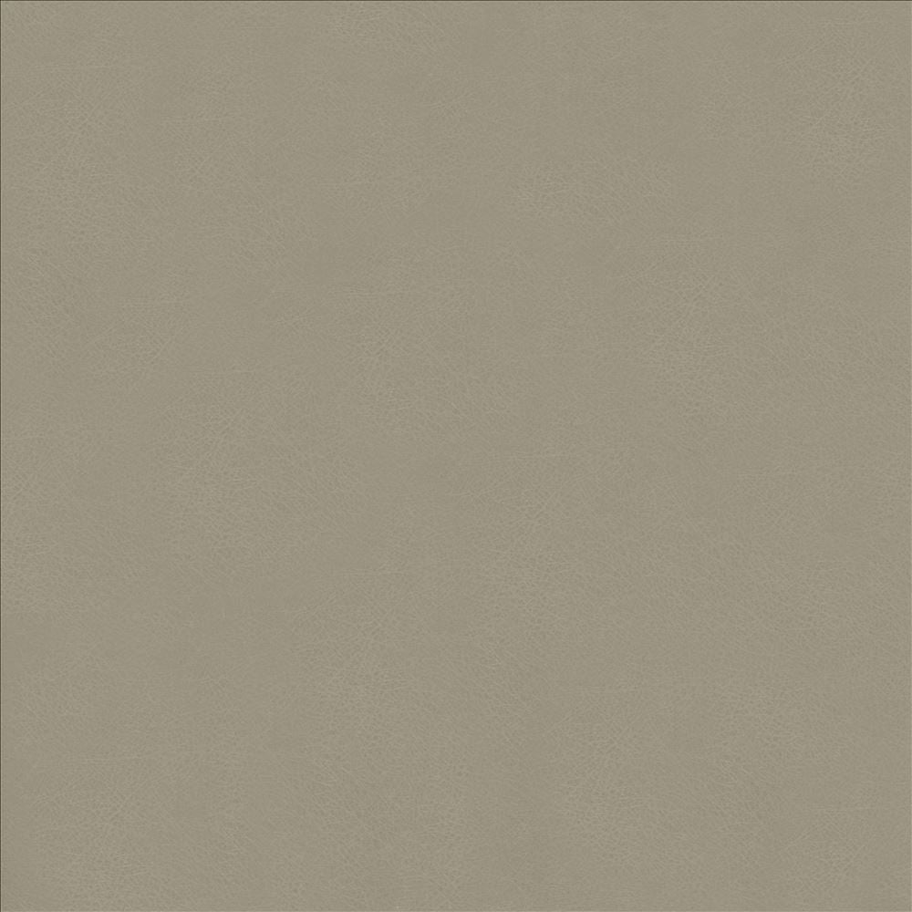 Odin Ash by Kasmir Fabric 5127 100% Polyurethane
 CHINA 100,000 Wyzenbeek Double Rubs Horizontal: N/A and Vertical: N/A 53 - Fabric Carolina -