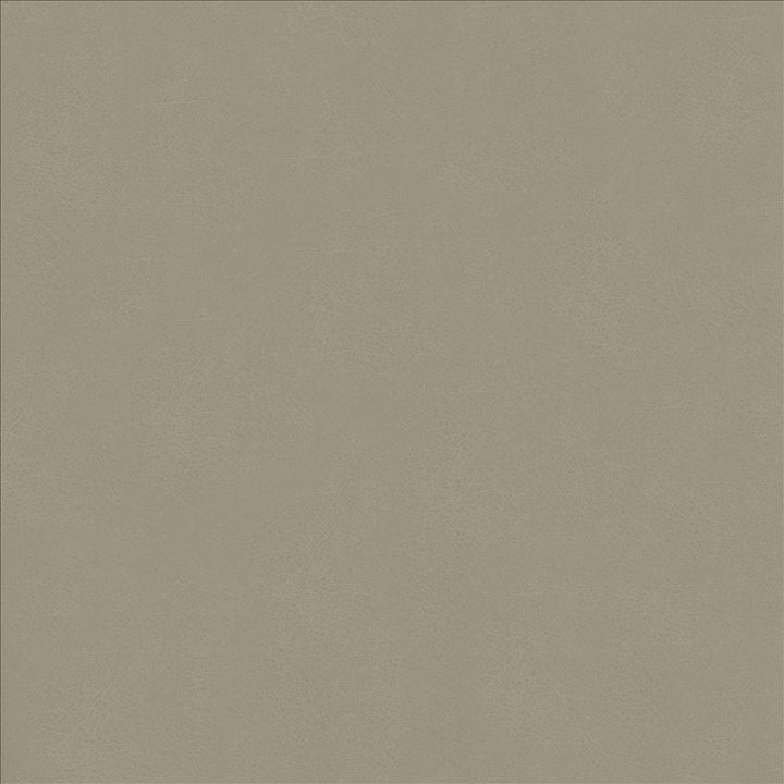 Odin Ash by Kasmir Fabric 5127 100% Polyurethane
 CHINA 100,000 Wyzenbeek Double Rubs Horizontal: N/A and Vertical: N/A 53 - Fabric Carolina -