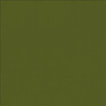 Odin Avocado by Kasmir Fabric 5127 100% Polyurethane CHINA 100,000 Wyzenbeek Double Rubs H: N/A, V: N/A 54 - Fabric Carolina - Kasmir