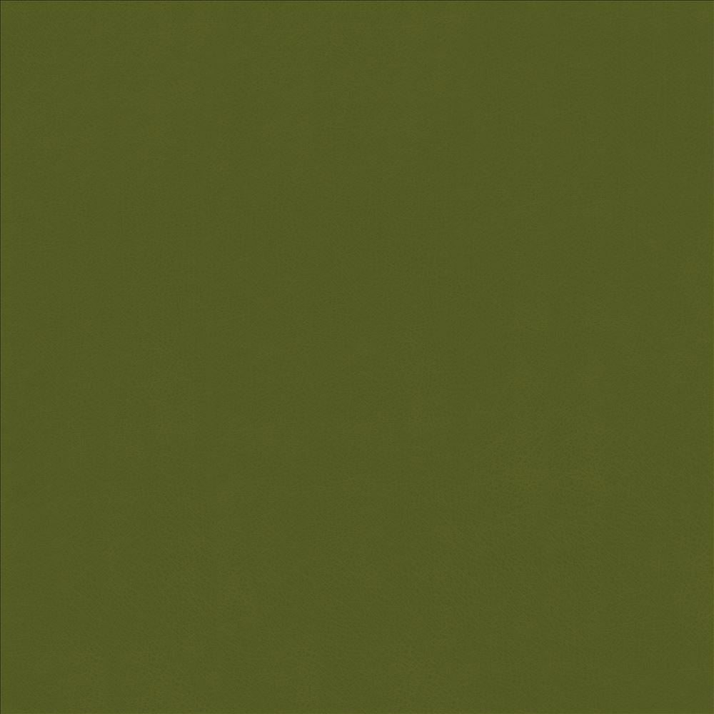 Odin Avocado by Kasmir Fabric 5127 100% Polyurethane
 CHINA </p><p>Repeat: Horizontal: N/A and Vertical: N/A 53 - Fabric Carolina -