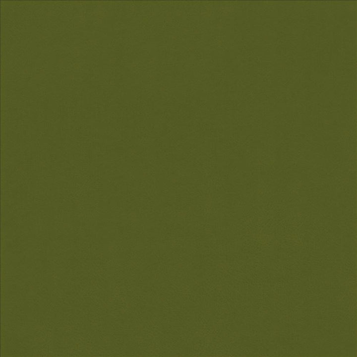 Odin Avocado by Kasmir Fabric 5127 100% Polyurethane
 CHINA </p><p>Repeat: Horizontal: N/A and Vertical: N/A 53 - Fabric Carolina -