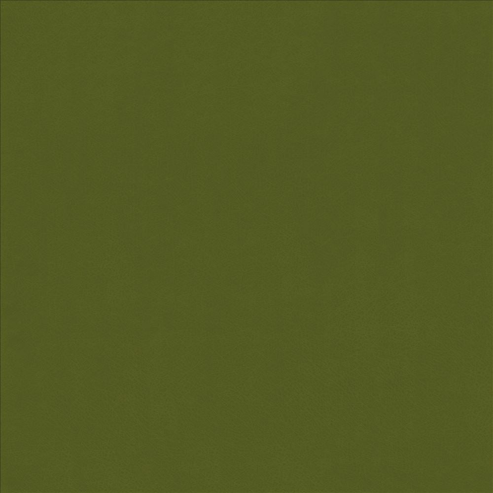 Odin Avocado by Kasmir Fabric 5127 100% Polyurethane
 CHINA 100,000 Wyzenbeek Double Rubs </p><p>Repeat: Horizontal: N/A and Vertical: N/A 53 - Fabric Carolina -