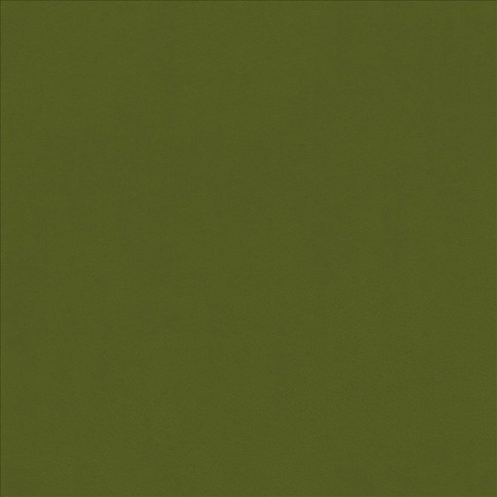 Odin Avocado by Kasmir Fabric 5127 100% Polyurethane
 CHINA 100,000 Wyzenbeek Double Rubs </p><p>Repeat: Horizontal: N/A and Vertical: N/A 53 - Fabric Carolina -