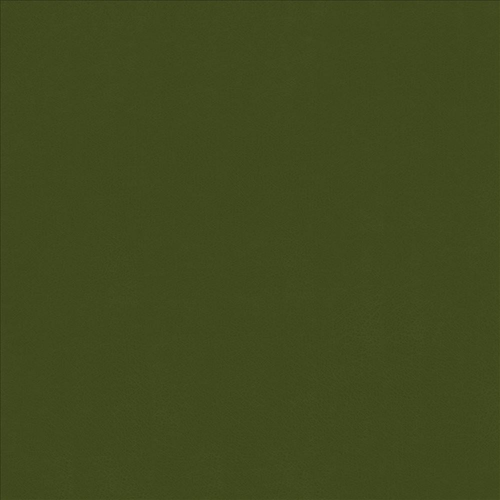 Odin Avocado by Kasmir Fabric 5127 100% Polyurethane
 CHINA 100,000 Wyzenbeek Double Rubs Horizontal: N/A and Vertical: N/A 53 - Fabric Carolina -