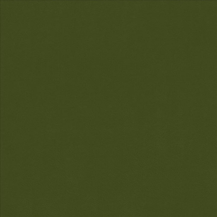 Odin Avocado by Kasmir Fabric 5127 100% Polyurethane
 CHINA 100,000 Wyzenbeek Double Rubs Horizontal: N/A and Vertical: N/A 53 - Fabric Carolina -