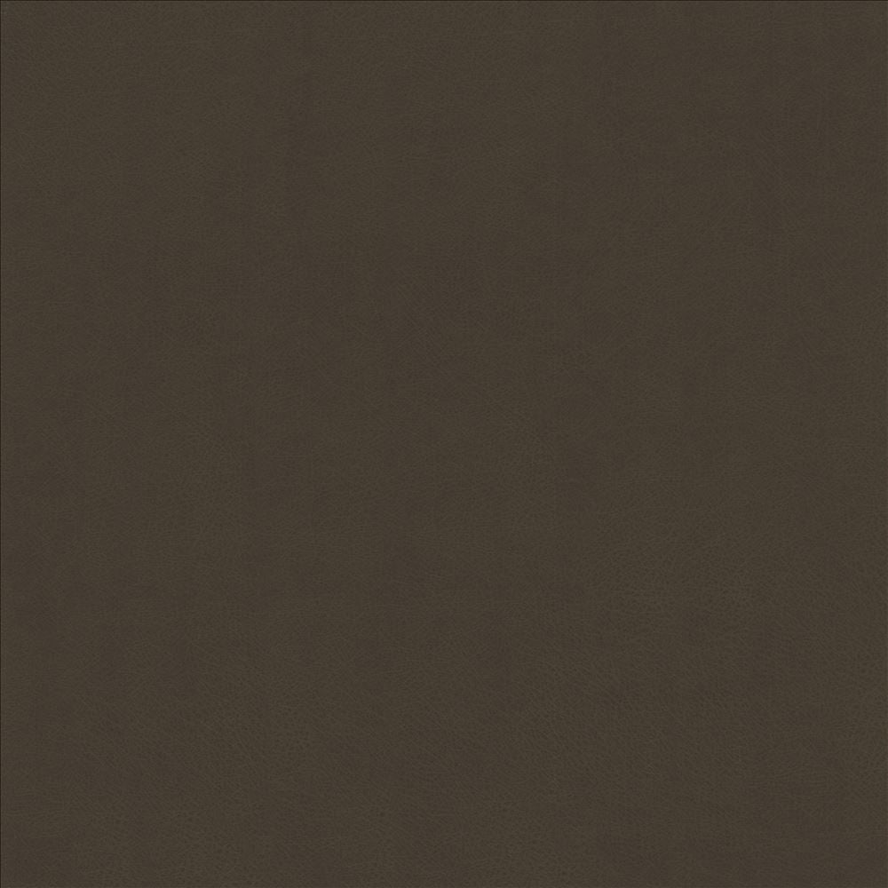 Odin Bark by Kasmir Fabric 5127 100% Polyurethane
 CHINA 100,000 Wyzenbeek Double Rubs </p><p>Repeat: Horizontal: N/A and Vertical: N/A 53 - Fabric Carolina -