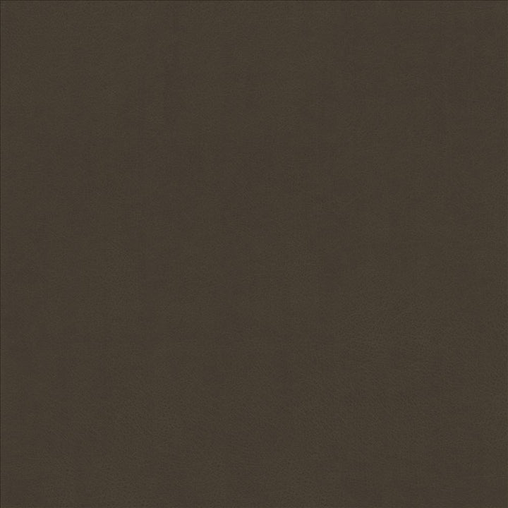 Odin Bark by Kasmir Fabric 5127 100% Polyurethane
 CHINA 100,000 Wyzenbeek Double Rubs </p><p>Repeat: Horizontal: N/A and Vertical: N/A 53 - Fabric Carolina -