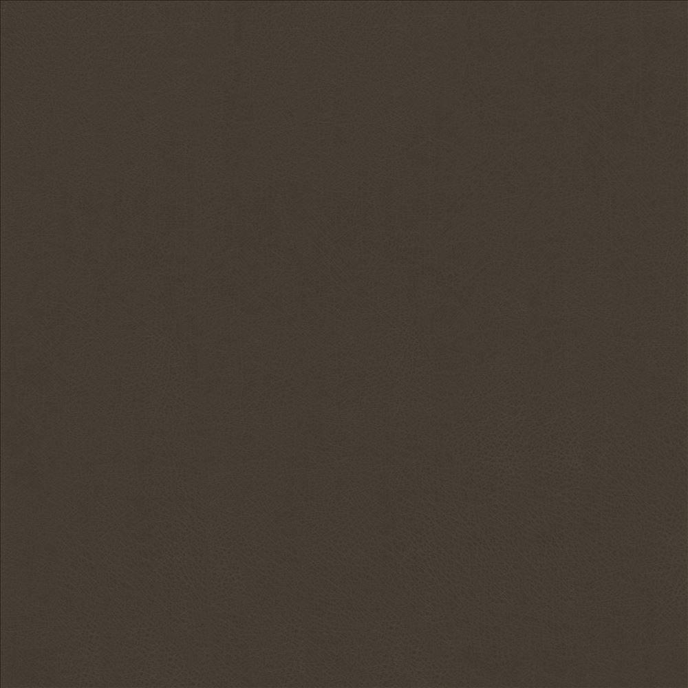 Odin Bark by Kasmir Fabric 5127 100% Polyurethane
 CHINA </p><p>Repeat: Horizontal: N/A and Vertical: N/A 53 - Fabric Carolina -