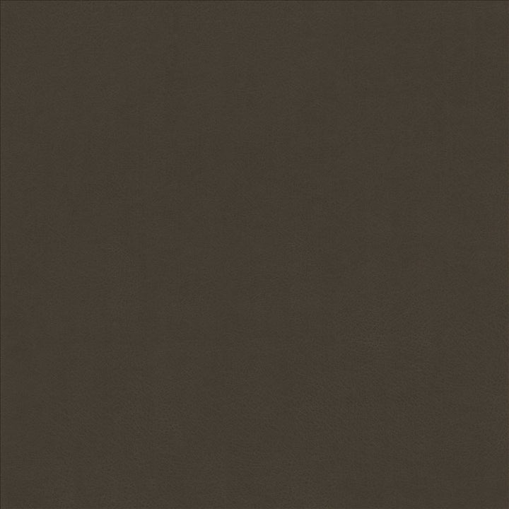 Odin Bark by Kasmir Fabric 5127 100% Polyurethane
 CHINA </p><p>Repeat: Horizontal: N/A and Vertical: N/A 53 - Fabric Carolina -