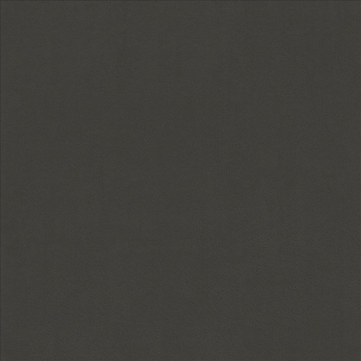 Odin Bark by Kasmir Fabric 5127 100% Polyurethane CHINA 100,000 Wyzenbeek Double Rubs Horizontal: 0 Inches and Vertical: 0 Inches 54 - Fabric Carolina -
