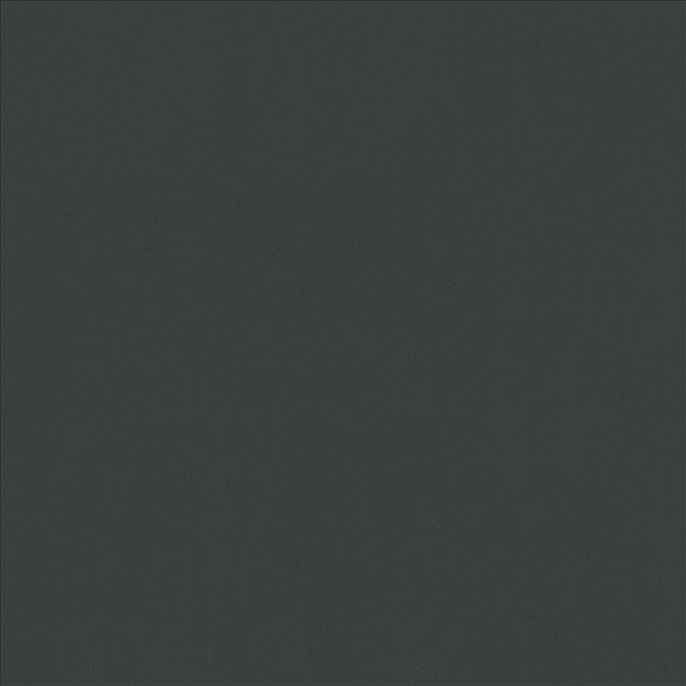 Odin Charcoal by Kasmir Fabric 5127 100% Polyurethane CHINA 100,000 Wyzenbeek Double Rubs Horizontal: 0 Inches and Vertical: 0 Inches 54 - Fabric Carolina -