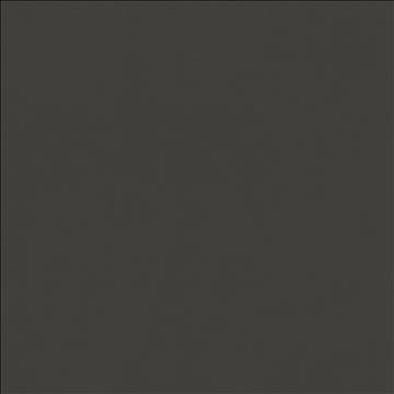 Odin Charcoal by Kasmir Fabric 5127 100% Polyurethane CHINA 100,000 Wyzenbeek Double Rubs H: N/A, V: N/A 54 - Fabric Carolina - Kasmir