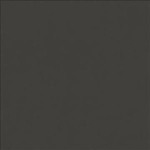 Odin Charcoal by Kasmir Fabric