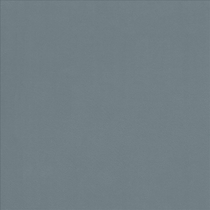 Odin Cloud by Kasmir Fabric 5127 100% Polyurethane CHINA 100,000 Wyzenbeek Double Rubs Horizontal: 0 Inches and Vertical: 0 Inches 54 - Fabric Carolina -