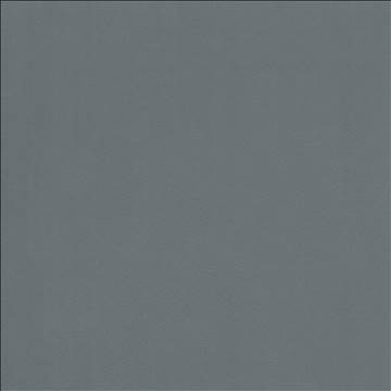 Odin Cloud by Kasmir Fabric 5127 100% Polyurethane CHINA 100,000 Wyzenbeek Double Rubs H: N/A, V: N/A 54 - Fabric Carolina - Kasmir