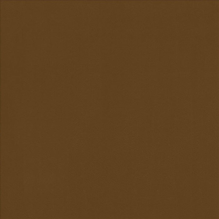 Odin Cognac by Kasmir Fabric 5127 100% Polyurethane
 CHINA </p><p>Repeat: Horizontal: N/A and Vertical: N/A 53 - Fabric Carolina -