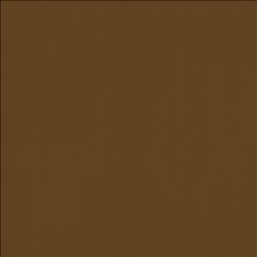 Odin Cognac by Kasmir Fabric 5127 100% Polyurethane CHINA 100,000 Wyzenbeek Double Rubs H: N/A, V: N/A 54 - Fabric Carolina - Kasmir