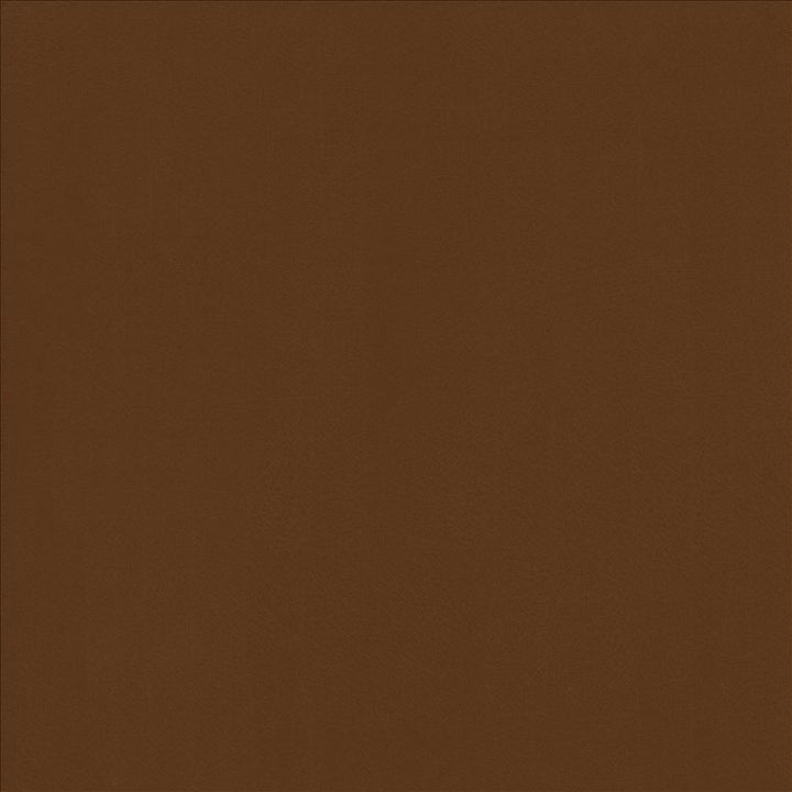 Odin Cognac by Kasmir Fabric 5127 100% Polyurethane
 CHINA 100,000 Wyzenbeek Double Rubs Horizontal: N/A and Vertical: N/A 53 - Fabric Carolina -