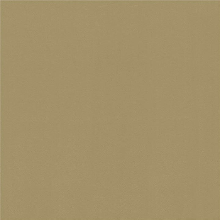 Odin Doe by Kasmir Fabric 5127 100% Polyurethane
 CHINA </p><p>Repeat: Horizontal: N/A and Vertical: N/A 53 - Fabric Carolina -