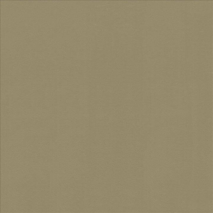 Odin Doe by Kasmir Fabric 5127 100% Polyurethane CHINA 100,000 Wyzenbeek Double Rubs Horizontal: 0 Inches and Vertical: 0 Inches 54 - Fabric Carolina -
