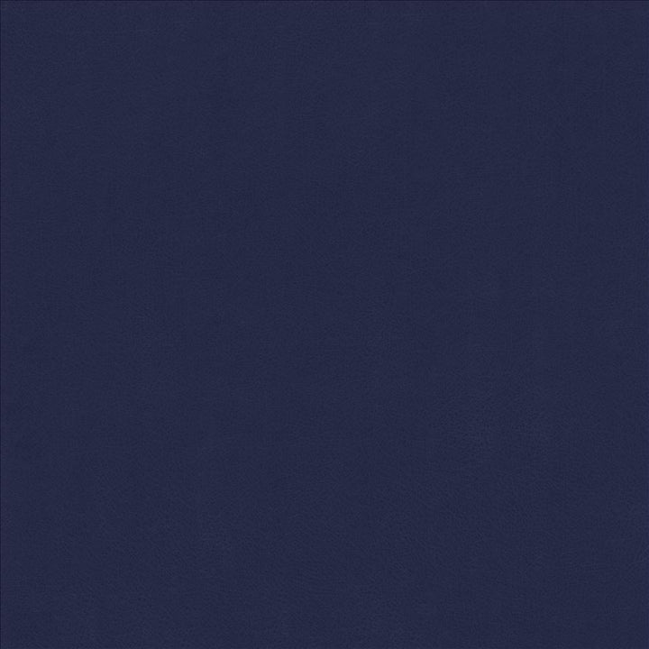 Odin Ink by Kasmir Fabric 5127 100% Polyurethane CHINA 100,000 Wyzenbeek Double Rubs Horizontal: 0 Inches and Vertical: 0 Inches 54 - Fabric Carolina -