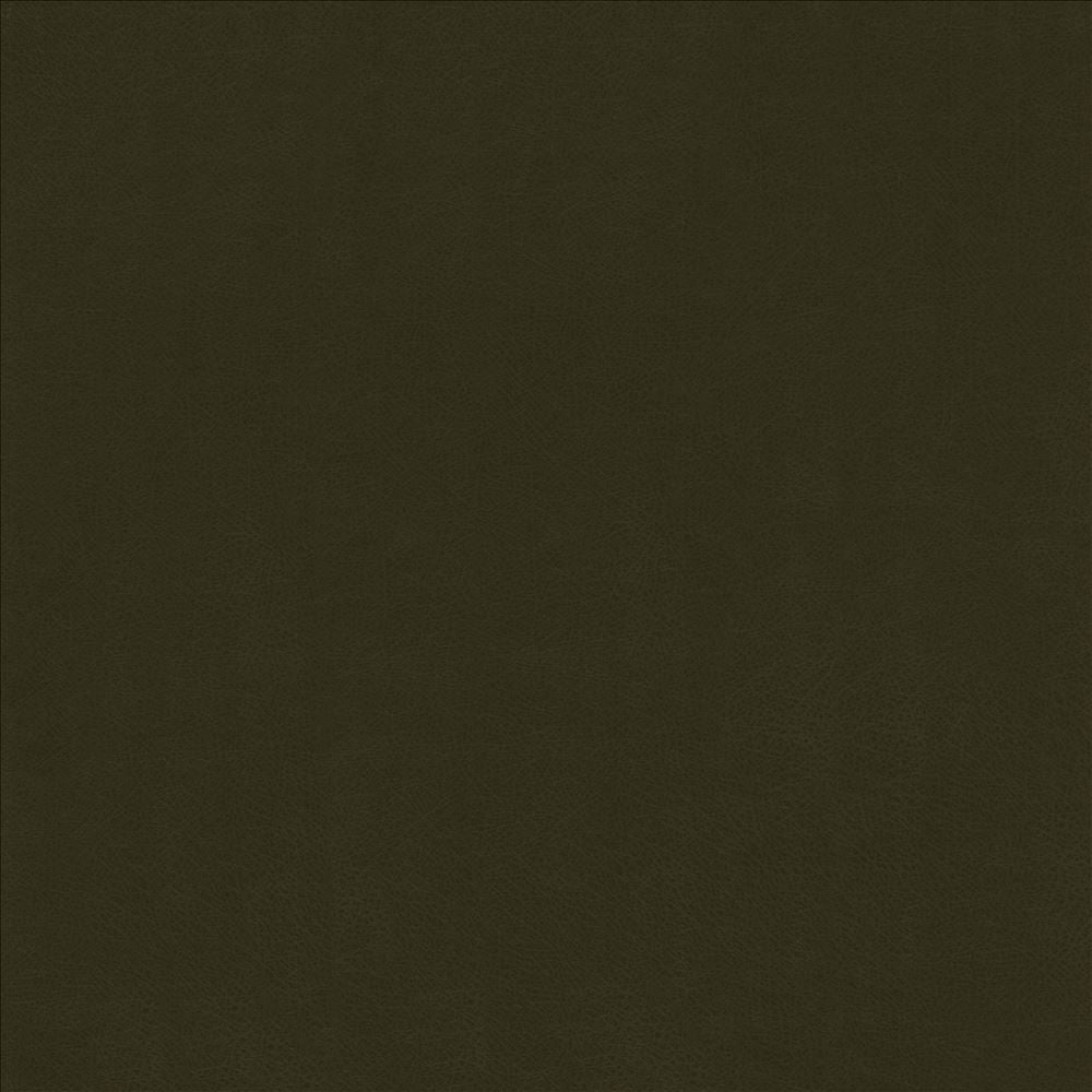 Odin Ivy  by Kasmir Fabric See sample 100% Polyurethane
 CHINA 100,000 Wyzenbeek Double Rubs </p><p>Repeat: Horizontal: N/A and Vertical: N/A 53  - Fabric Carolina -