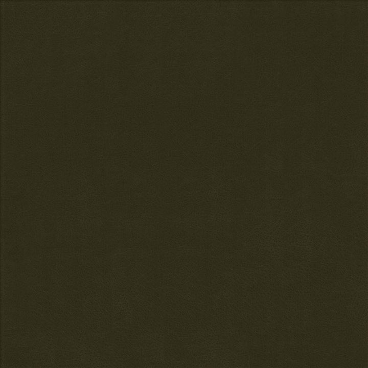 Odin Ivy  by Kasmir Fabric See sample 100% Polyurethane
 CHINA 100,000 Wyzenbeek Double Rubs </p><p>Repeat: Horizontal: N/A and Vertical: N/A 53  - Fabric Carolina -