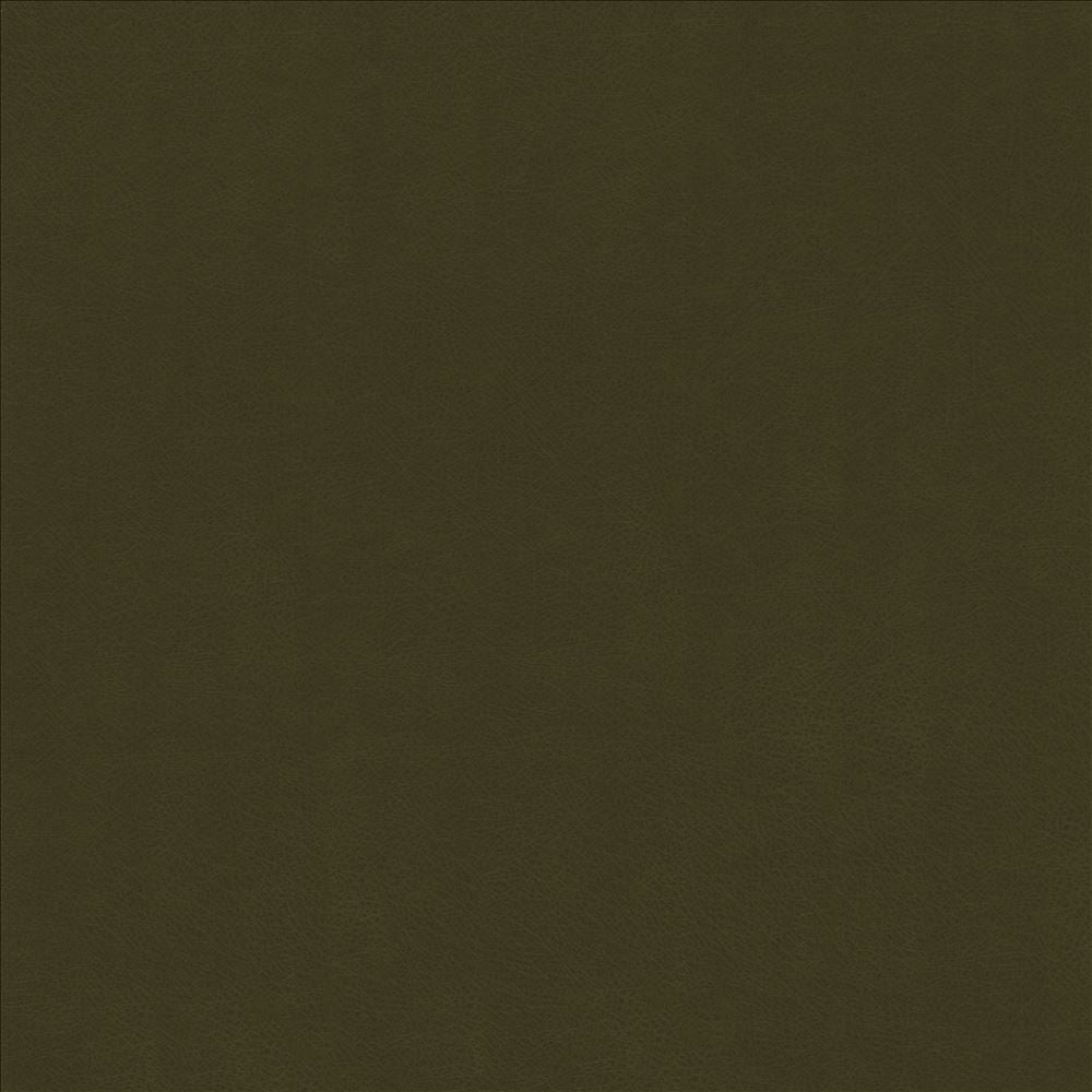 Odin Ivy by Kasmir Fabric 5127 100% Polyurethane
 CHINA </p><p>Repeat: Horizontal: N/A and Vertical: N/A 53 - Fabric Carolina -